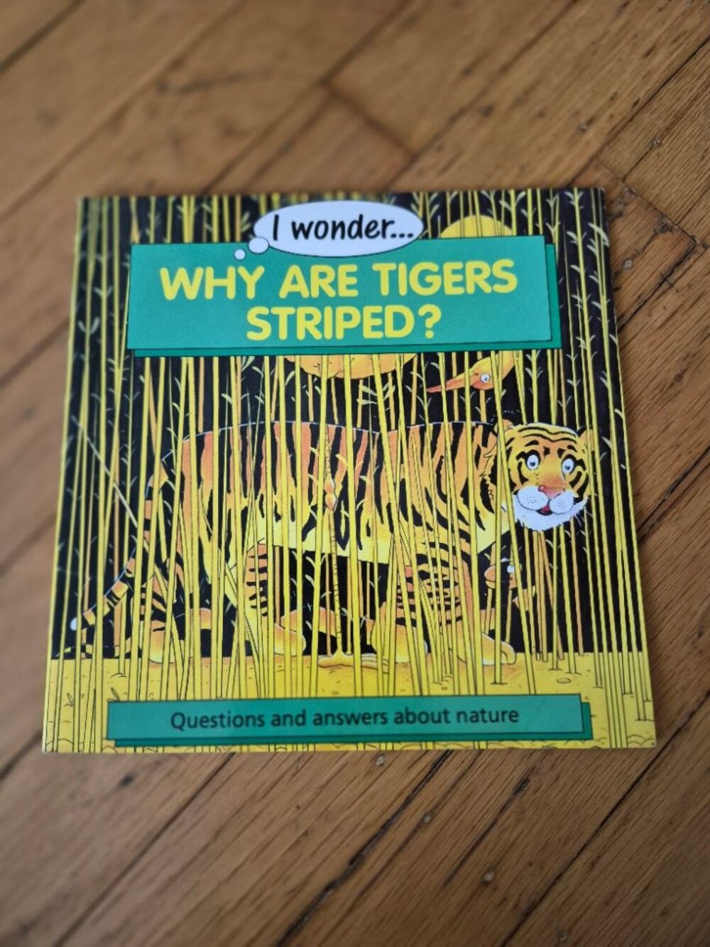 I wonder Why Are Tigers Striped
